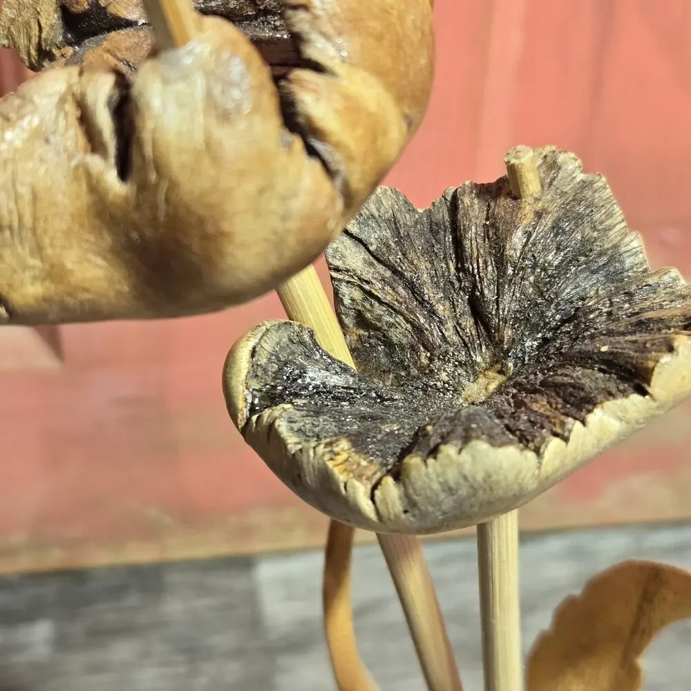 Wood Floral‎ Sculpture Hand Crafted Java Island Habini
